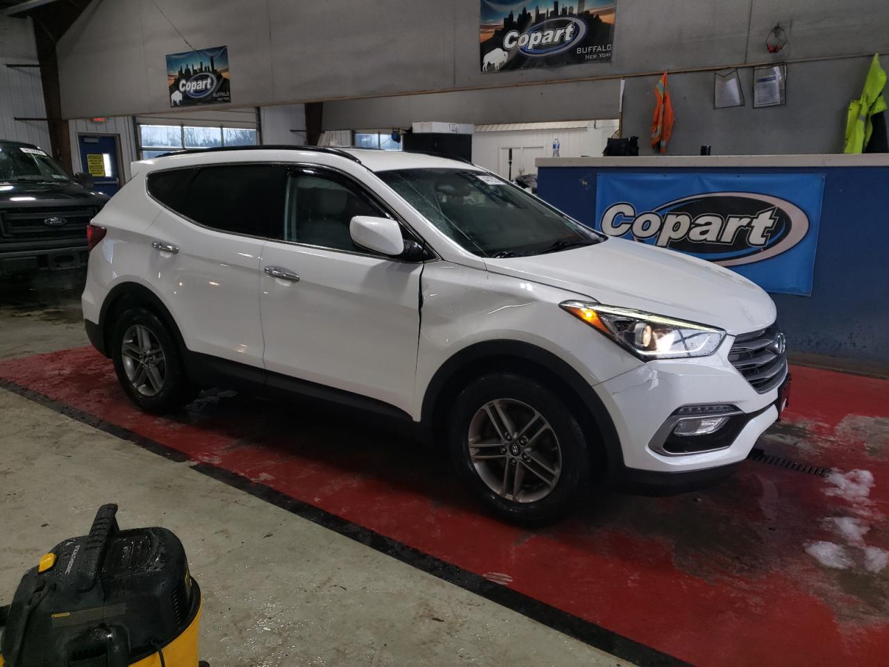 2017 Hyundai Santa Fe VIN 5XYZUDLBXHG417437 Copart auction photo, rollover damage thumbnail 4