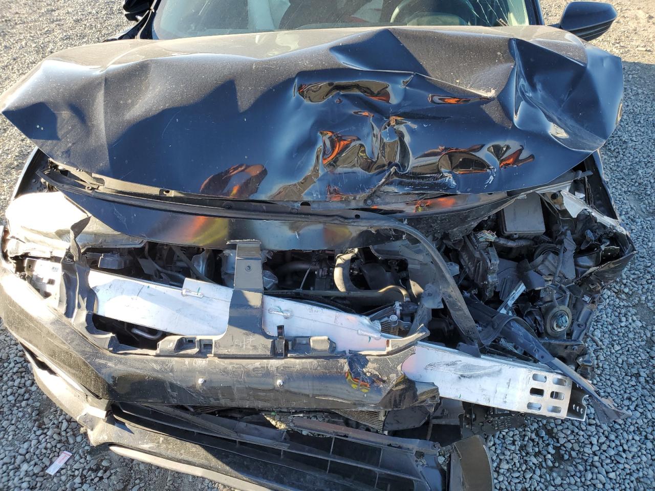 2019 Honda Civic VIN 2HGFC2F60KH503293 Copart auction photo, front end damage thumbnail 12