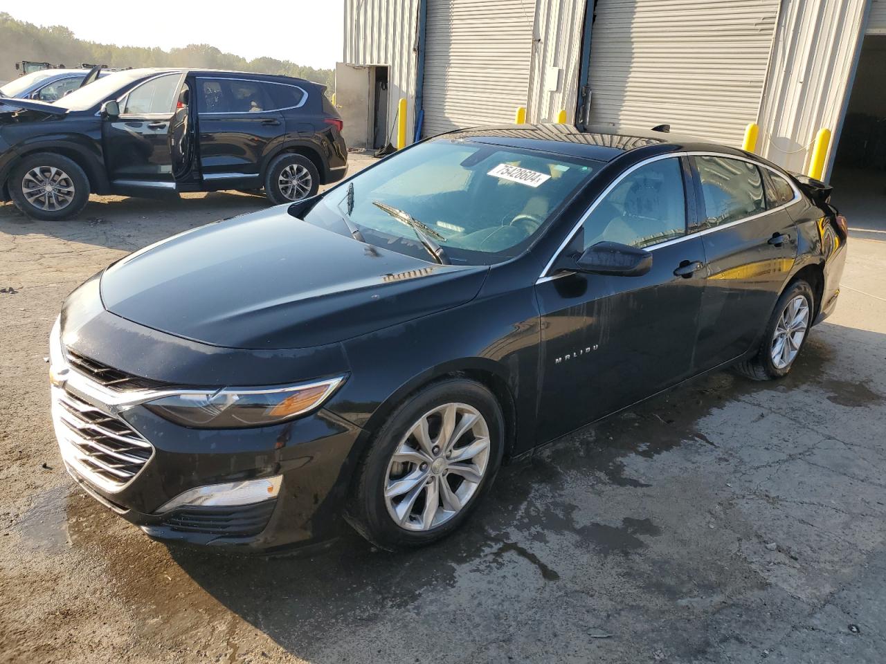 2019 Chevrolet Malibu VIN 1G1ZD5ST2KF175374