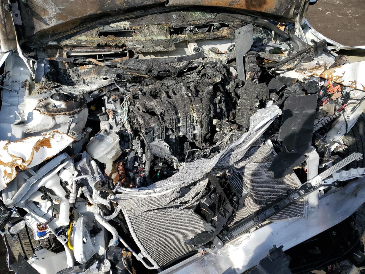 2023 Hyundai Sonata VIN KMHL24JA9PA334632 Copart auction photo, front end damage thumbnail 11