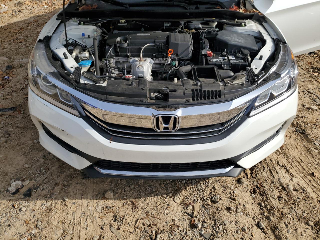 2017 Honda Accord VIN 1HGCR2F14HA126268 Copart auction photo, side / rear end damage thumbnail 13