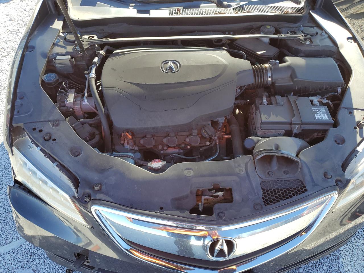 2015 Acura TLX VIN 19UUB3F5XFA009132 Copart auction photo, front end / side damage thumbnail 13