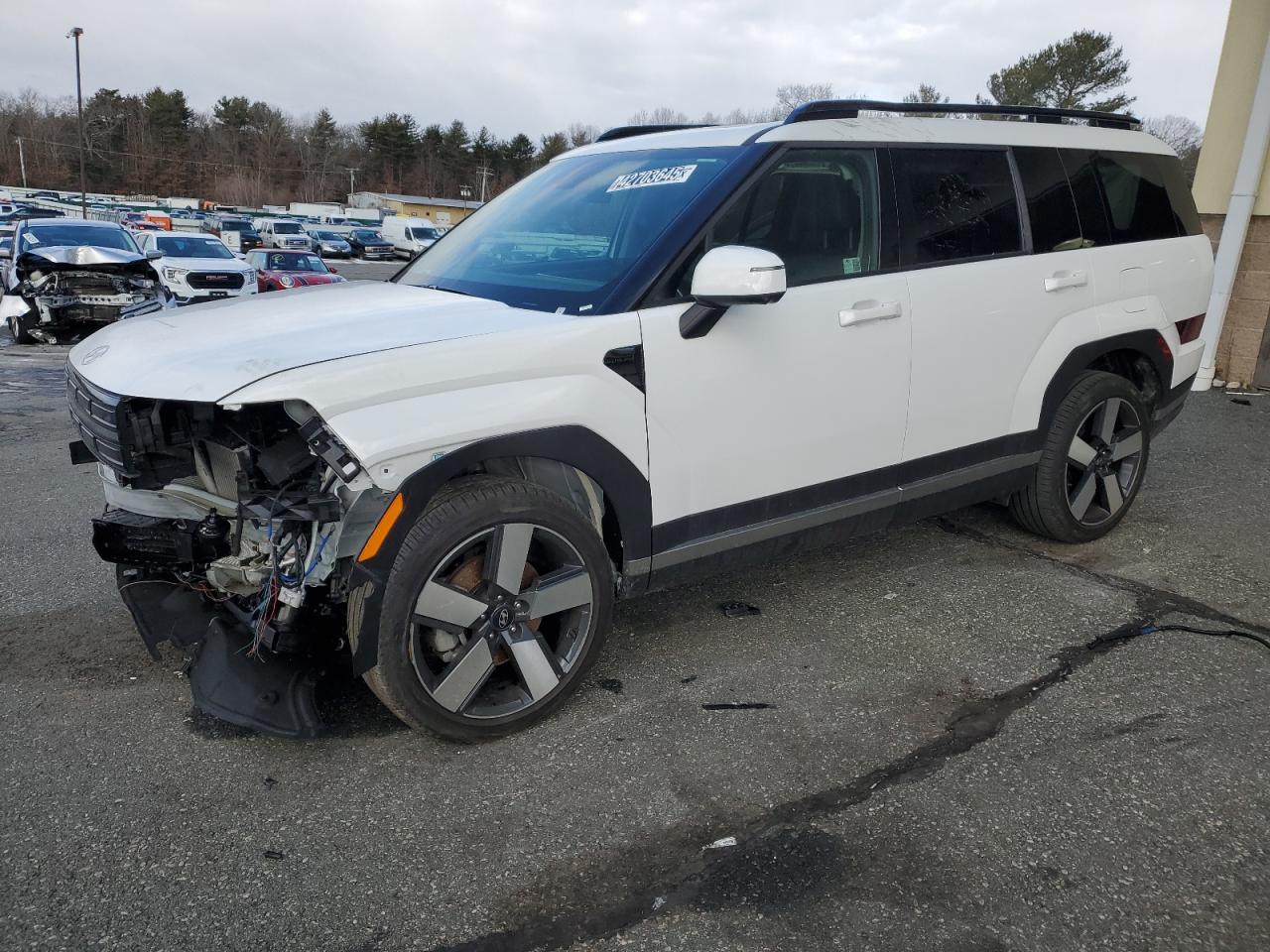2024 Hyundai Santa Fe VIN 5NMP4DGLXRH018898