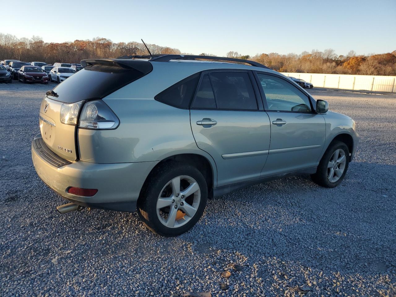 2004 Lexus RX VIN JTJHA31UX40013098 Copart auction photo, side / rear end damage thumbnail 3
