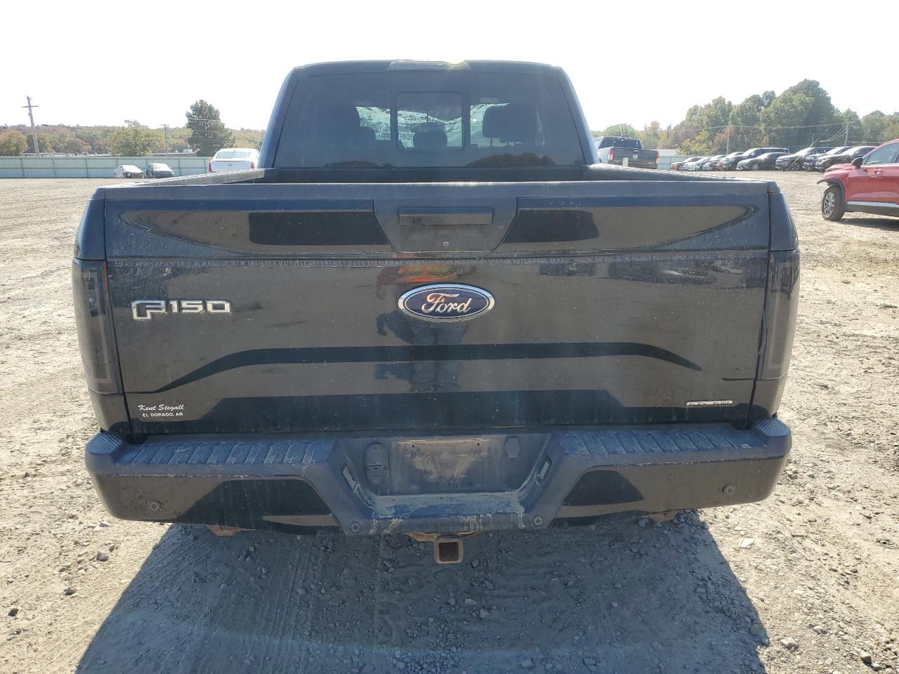2016 Ford F-150 VIN 1FTFX1EF1GKF34907 Copart auction photo, all over damage thumbnail 6
