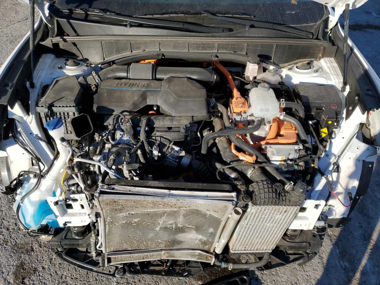 2023 KIA Sorento VIN KNDRMDLH4P5205967 Copart auction photo, front end / minor dent/scratches damage thumbnail 12