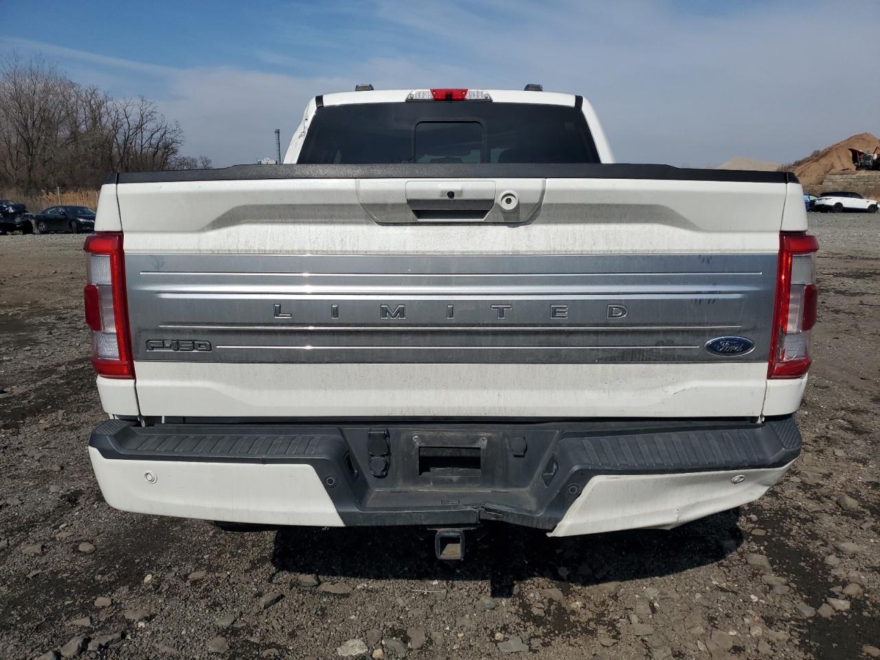 2021 Ford F-150 VIN 1FTFW1E85MFB71889 Copart auction photo, all over / frame damage damage thumbnail 6