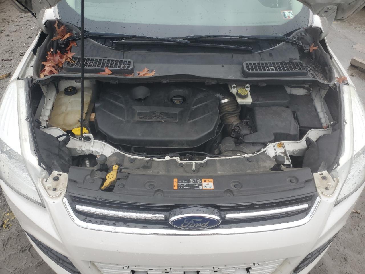 2014 Ford Escape VIN 1FMCU9J91EUD48193 Copart auction photo, mechanical / minor dent/scratches damage thumbnail 12
