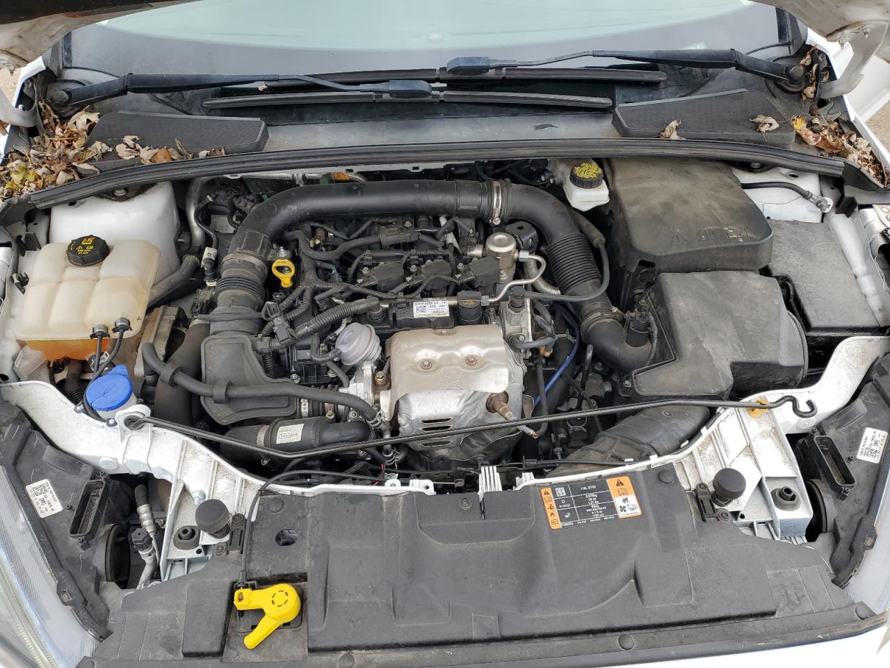 2018 Ford Focus VIN 1FADP3FE3JL223494 Copart auction photo, hail damage thumbnail 11
