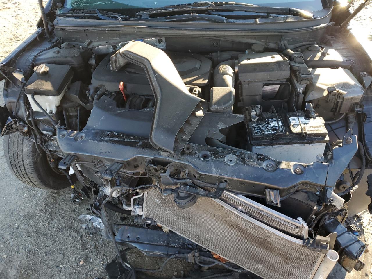 2019 Hyundai Sonata VIN 5NPE24AF2KH819527 Copart auction photo, all over / undercarriage damage thumbnail 13