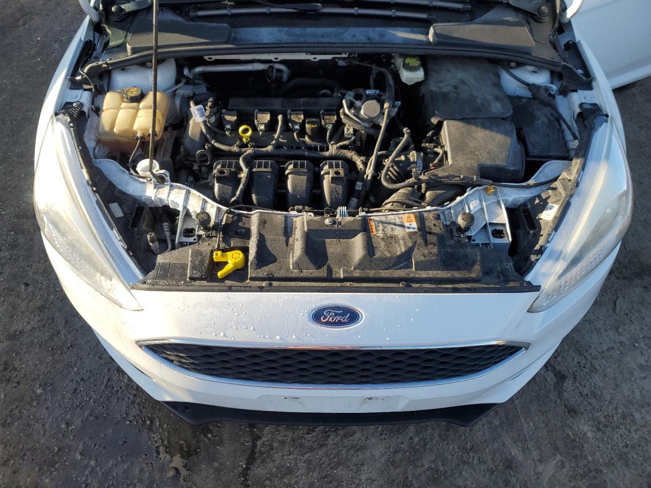 2017 Ford Focus VIN 1FADP3F24HL237386 Copart auction photo, side / rear end damage thumbnail 11