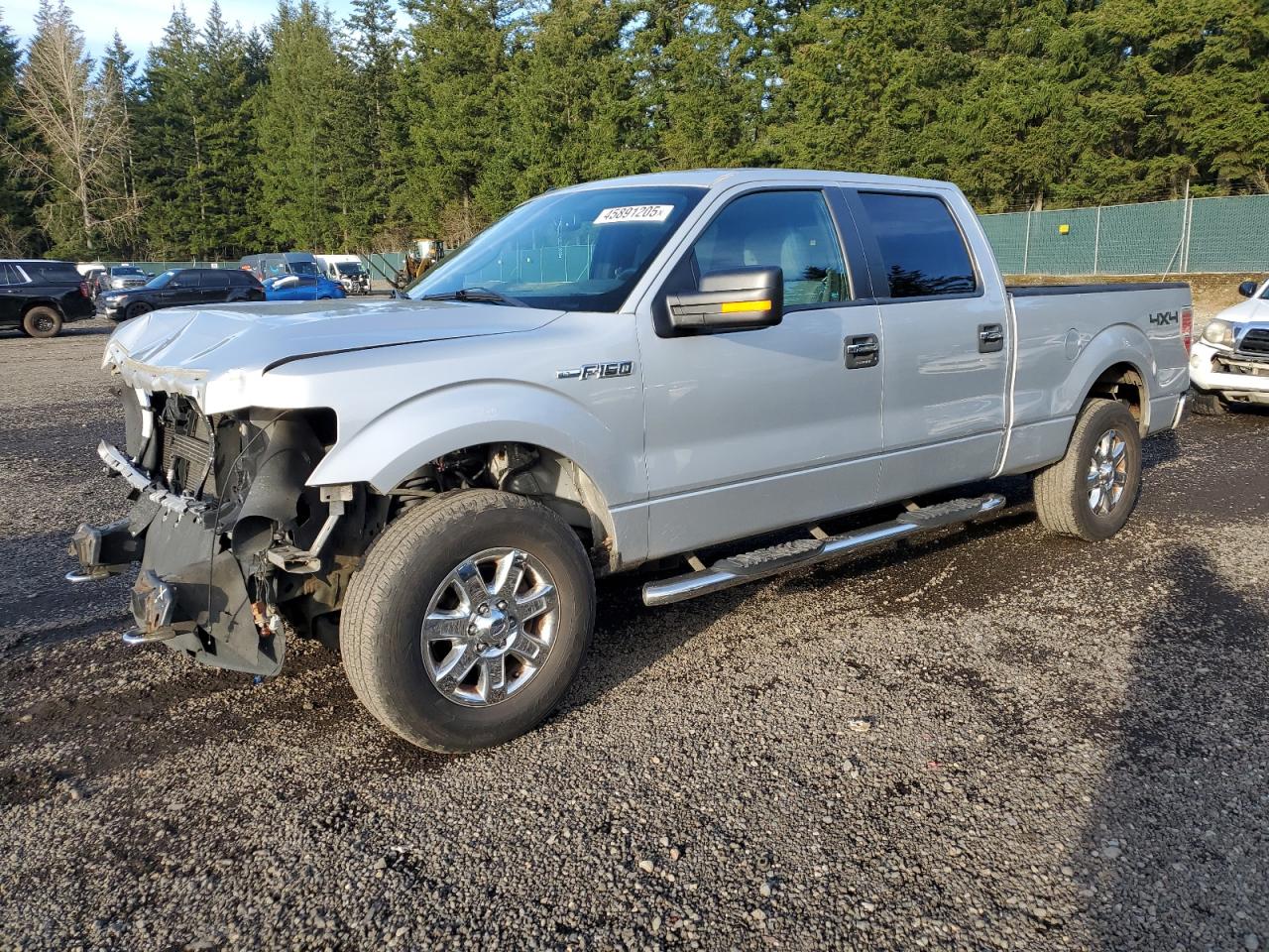 2013 Ford F-150 VIN 1FTFW1EF9DKD96774