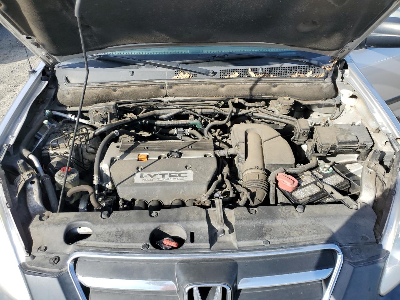 2006 Honda CR-V VIN JHLRD68566C018401 Copart auction photo, side damage thumbnail 11
