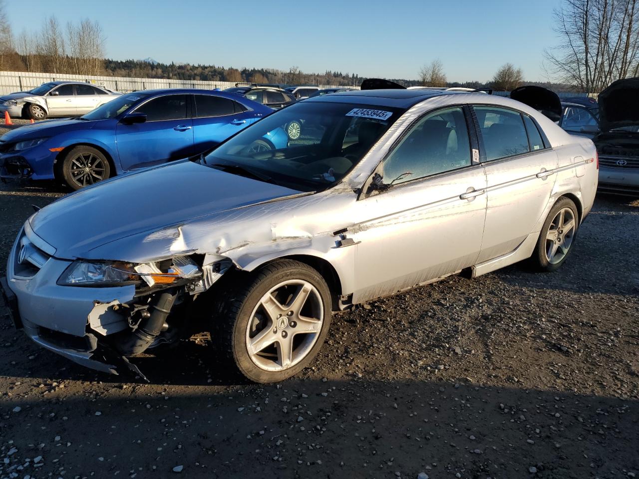 2004 Acura TL VIN 19UUA66244A057877