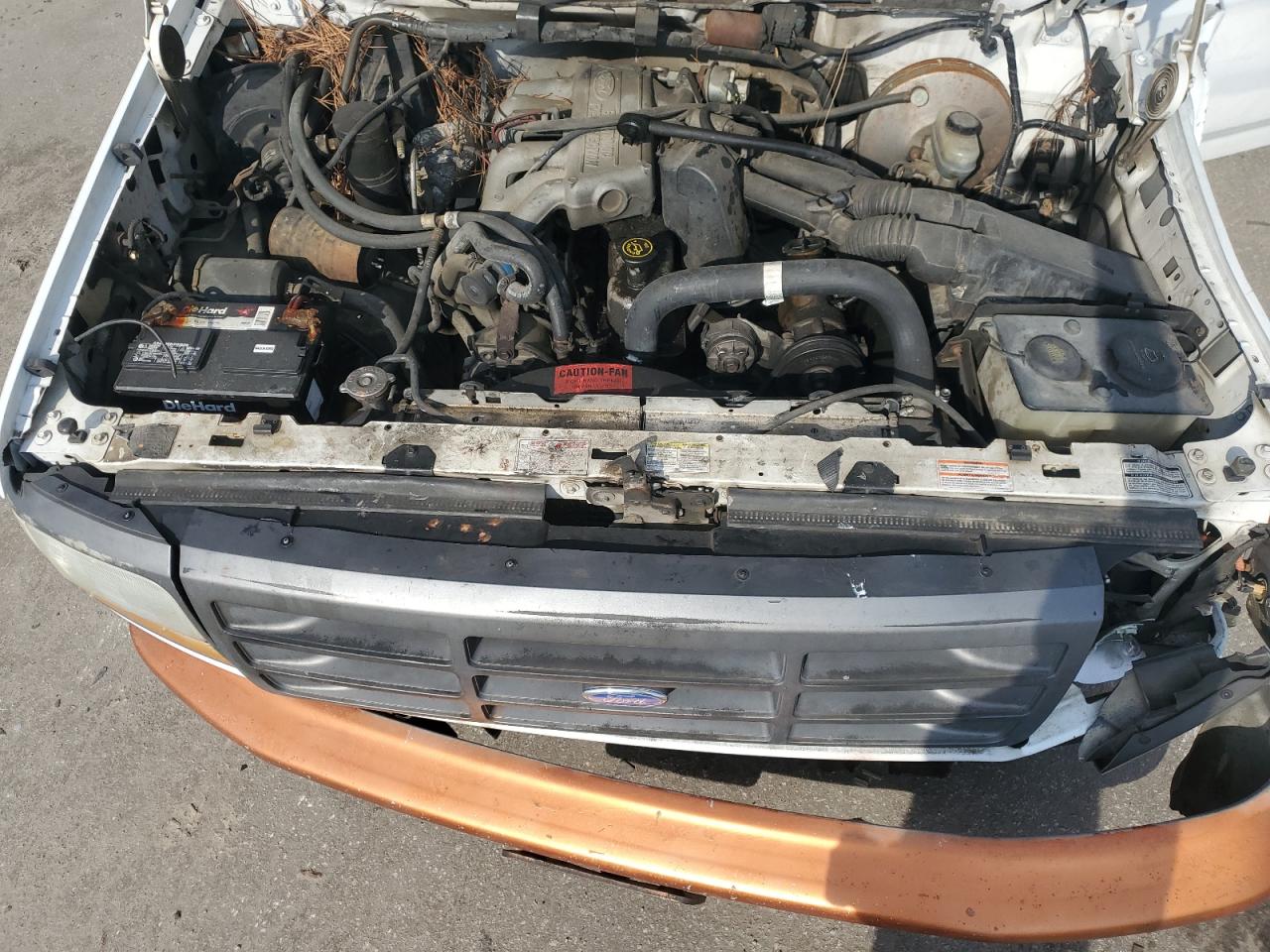 1994 Ford F-150 VIN 1FTEF15Y0RNA08477 Copart auction photo, front end / side damage thumbnail 11
