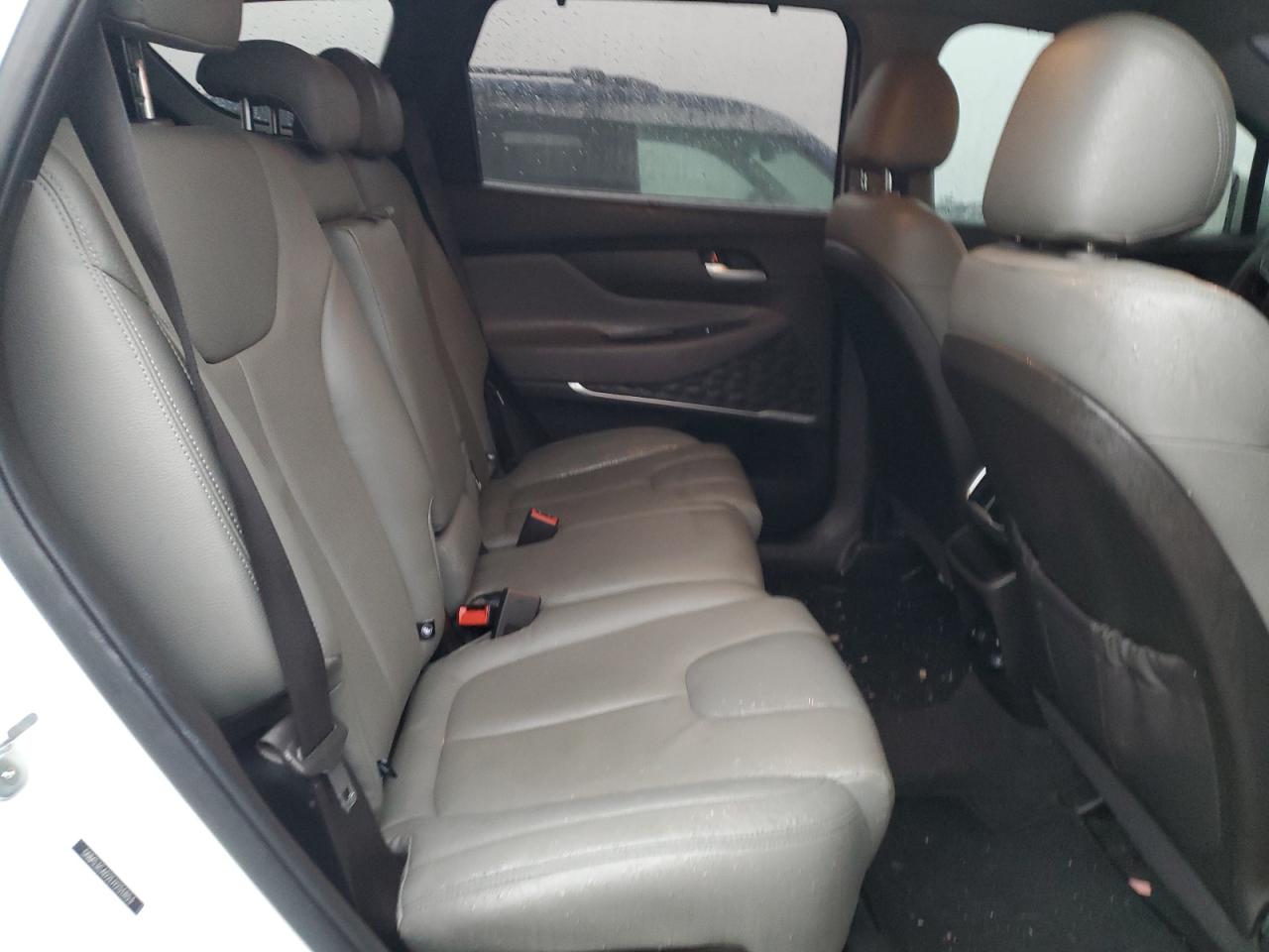 2020 Hyundai Santa Fe VIN 5NMS3CAD2LH251853 Copart auction photo, rear end damage thumbnail 11