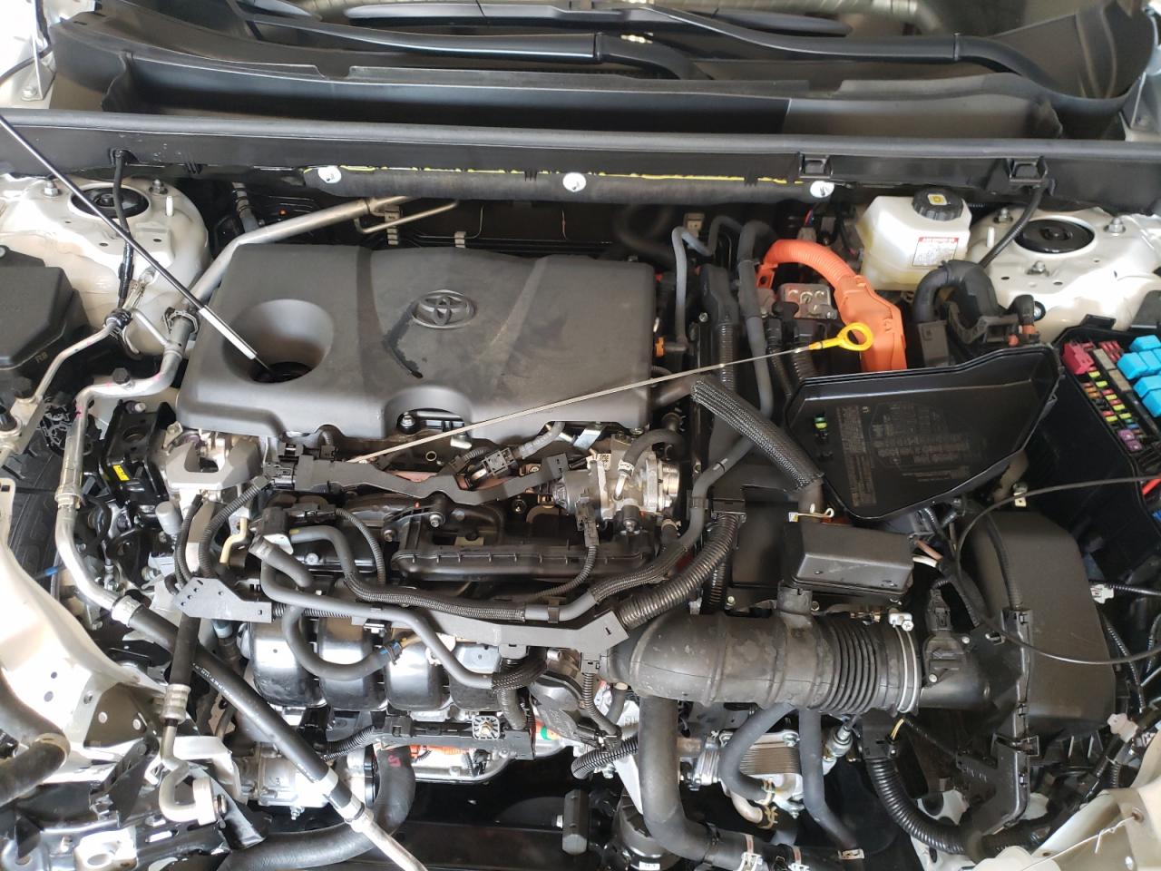2023 Toyota RAV 4 VIN JTMRWRFV7PD204584 Copart auction photo, front end / rear end damage thumbnail 11