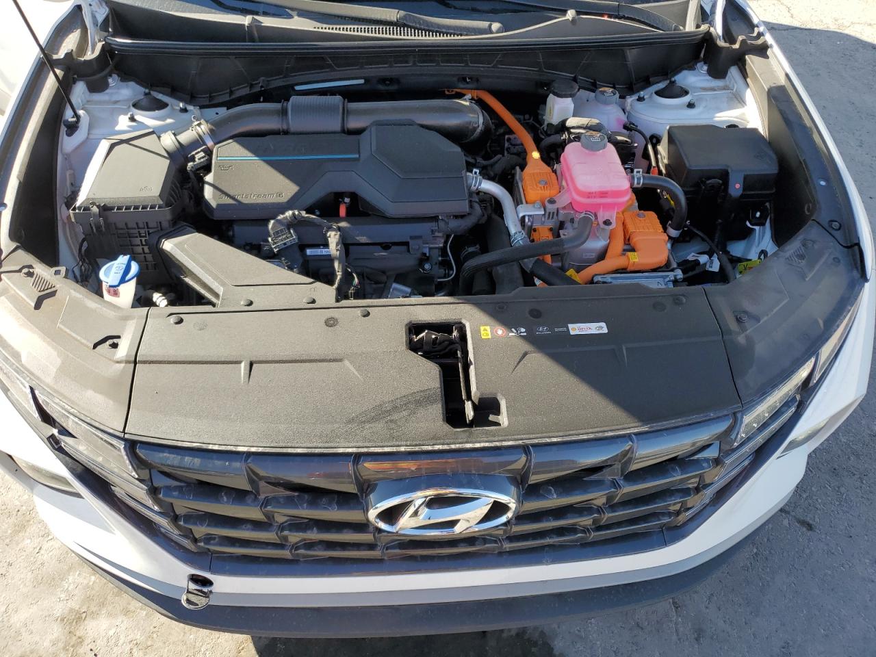 2024 Hyundai Tucson VIN KM8JBCD19RU224744 Copart auction photo, all over / mechanical damage thumbnail 12