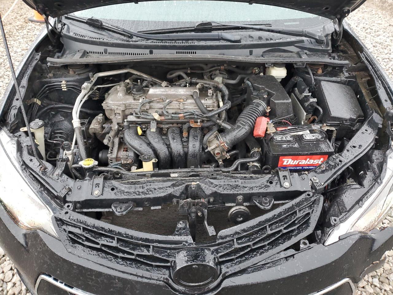 2014 Toyota Corolla VIN 2T1BURHE8EC008393 Copart auction photo, rear end / front end damage thumbnail 11