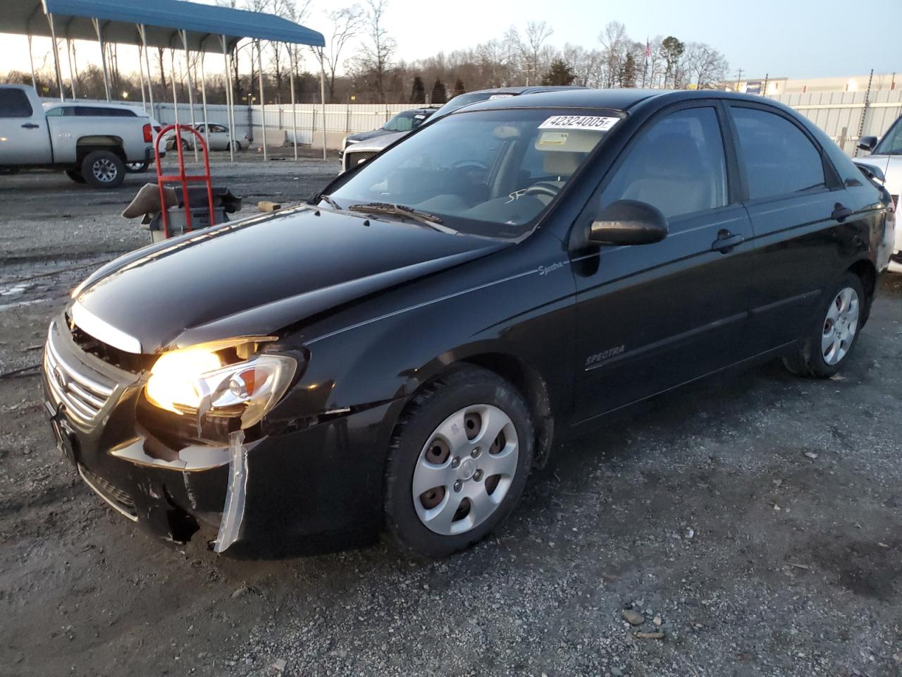 2008 KIA Spectra VIN KNAFE121185551816 - Copart auction photo