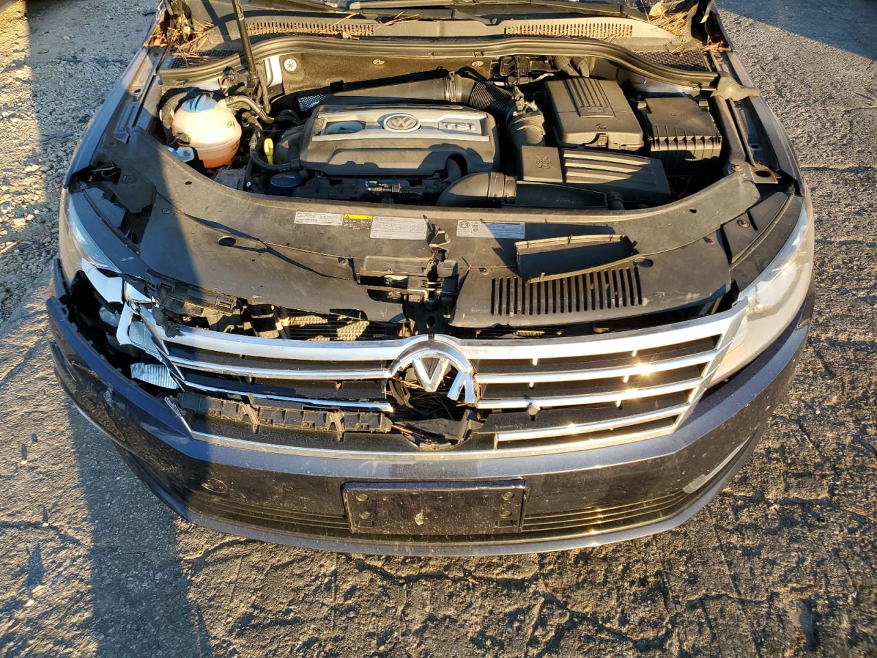 2014 Volkswagen Passat CC VIN WVWBP7AN5EE534273 Copart auction photo, front end damage thumbnail 11