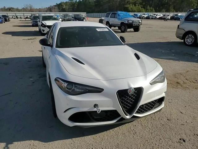 2019 Alfa Romeo Giulia VIN ZARFAMEV1K7613635 Copart auction photo, side damage thumbnail 10