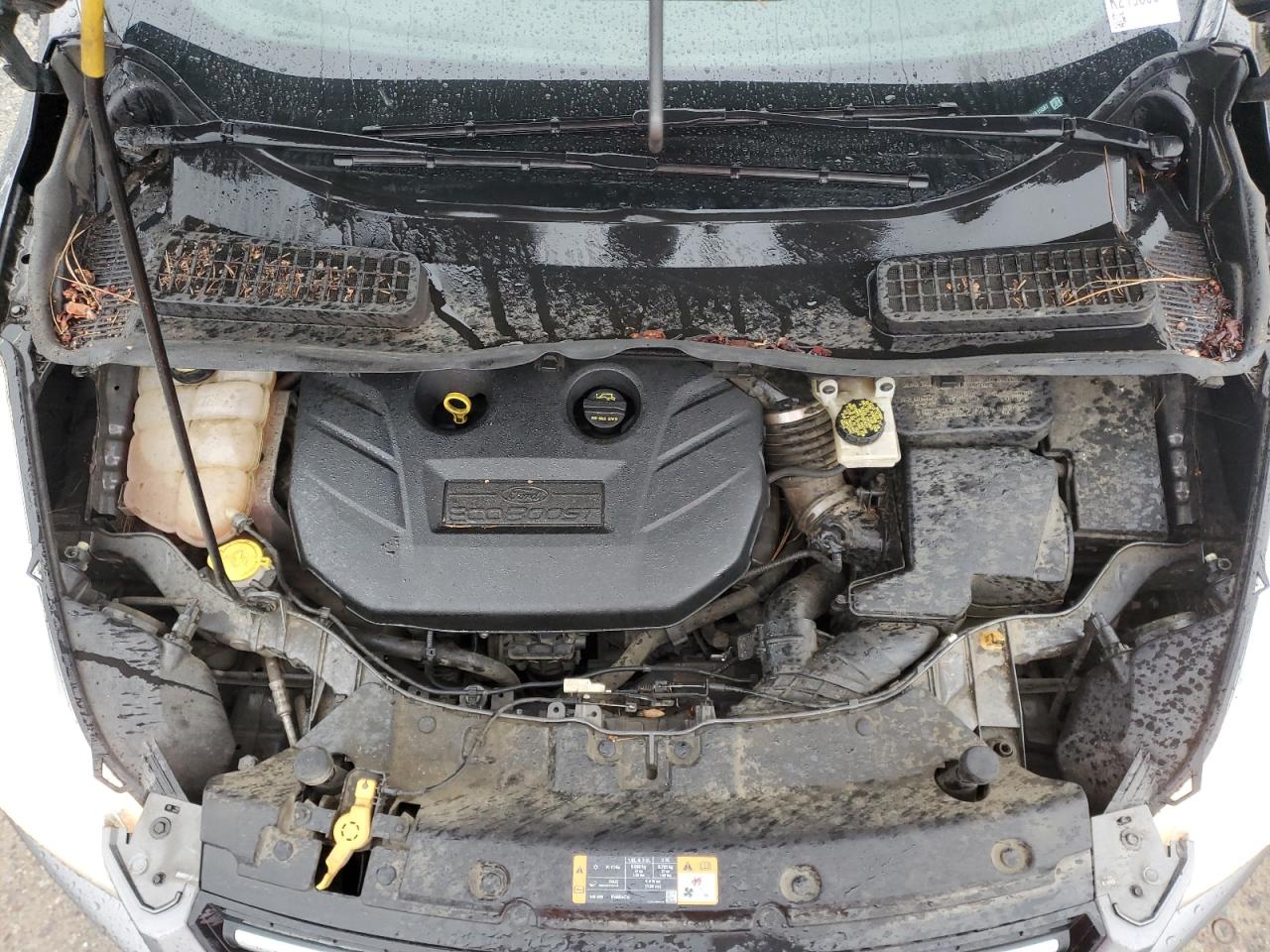 2014 Ford Escape VIN 1FMCU9G92EUA15587 Copart auction photo, minor dent/scratches damage thumbnail 11