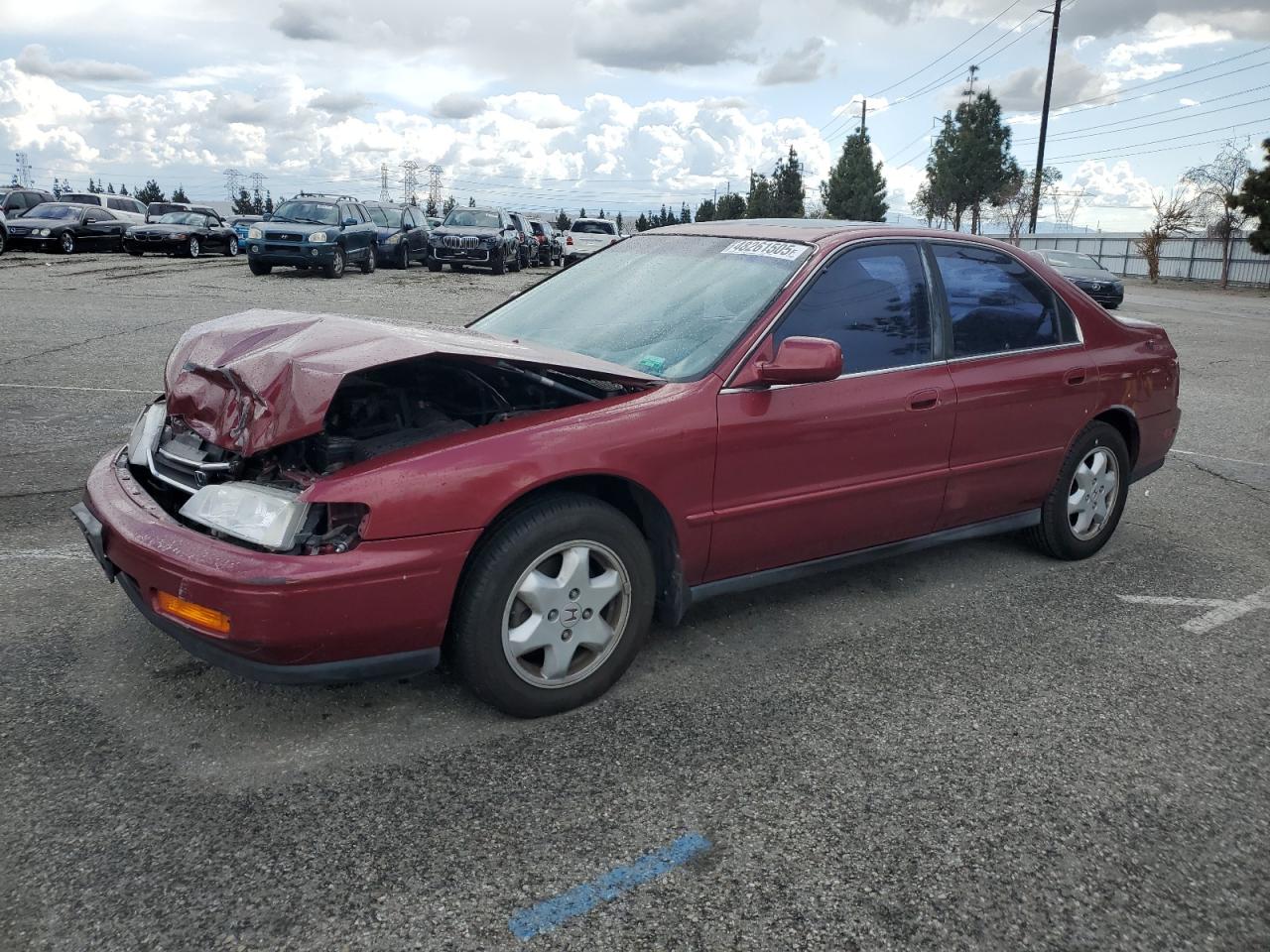 1995 Honda Accord VIN 1HGCE666XSA031185