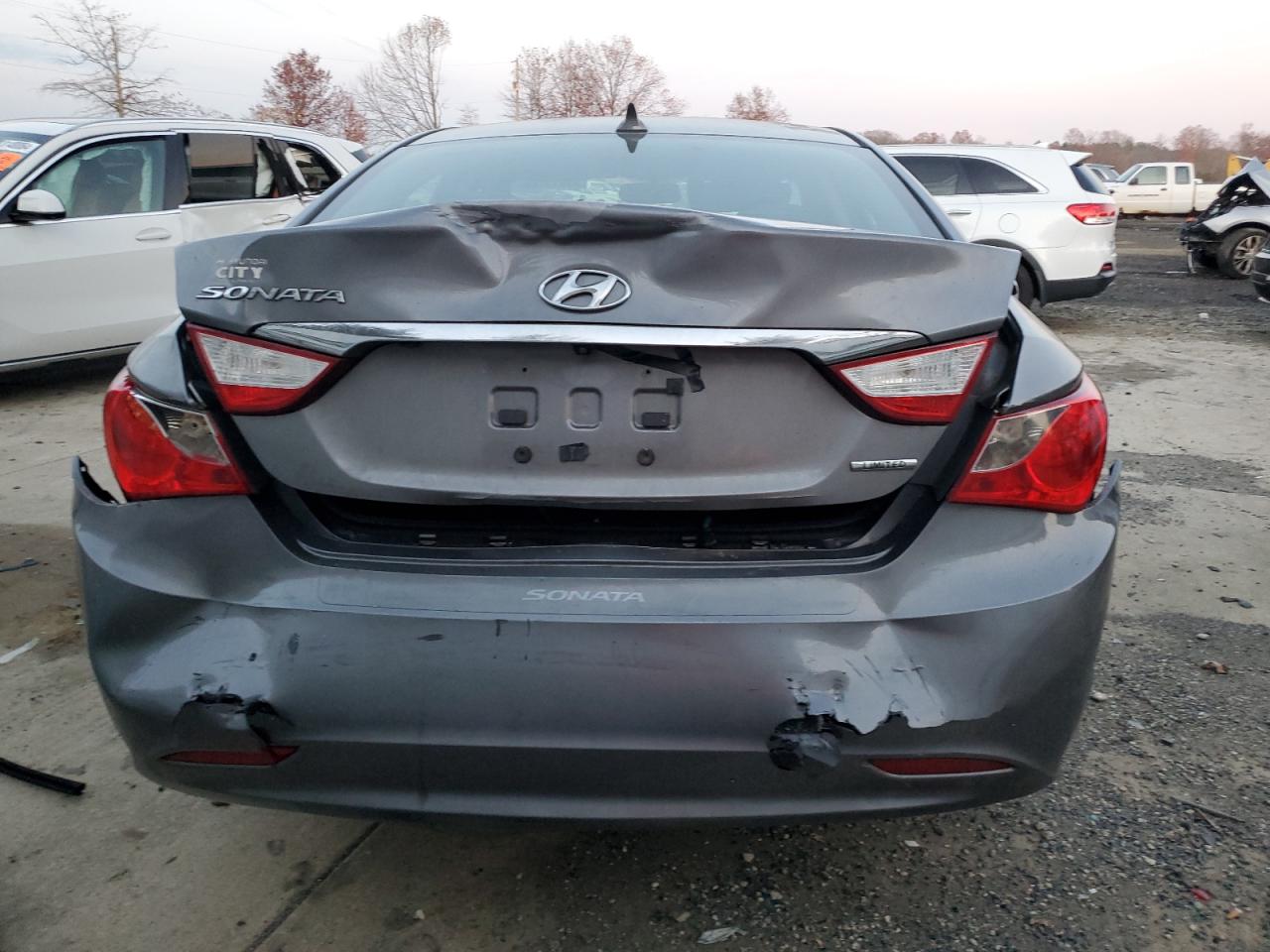 2011 Hyundai Sonata VIN 5NPEC4AC9BH306889 Copart auction photo, rear end damage thumbnail 6