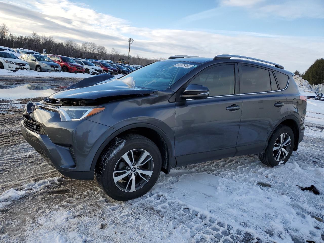 2018 Toyota RAV 4 VIN 2T3ZFREV9JW459989 - Copart auction photo