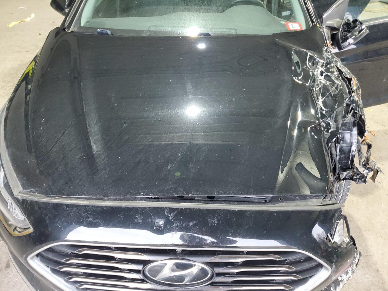 2019 Hyundai Sonata VIN 5NPE24AF4KH781282 Copart auction photo, front end / rear end damage thumbnail 11
