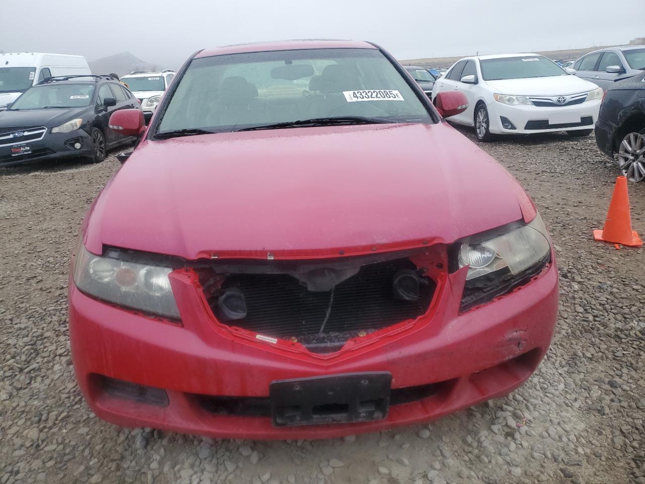2004 Acura TSX VIN JH4CL968X4C042944 Copart auction photo, front end damage thumbnail 5