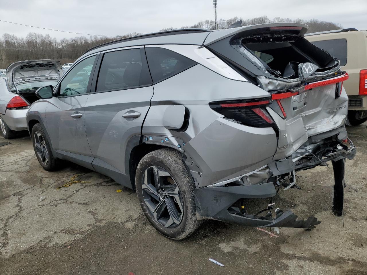 2024 Hyundai Tucson VIN KM8JCCD14RU203975 Copart auction photo, rear end damage thumbnail 2