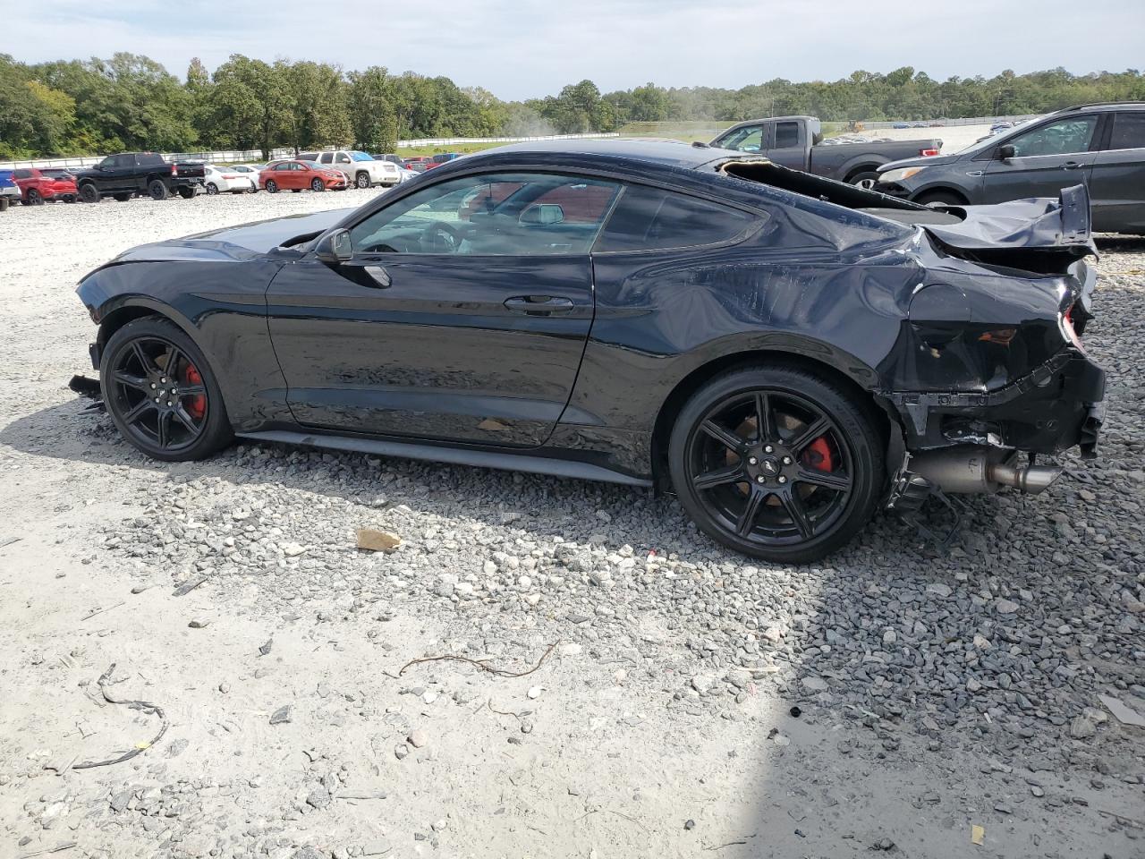 2019 Ford Mustang VIN 1FA6P8THXK5184896 Copart auction photo, all over damage thumbnail 2