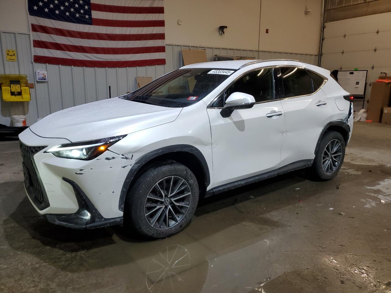 2022 Lexus NX VIN JTJADCEZ4N2000125 - Copart auction photo