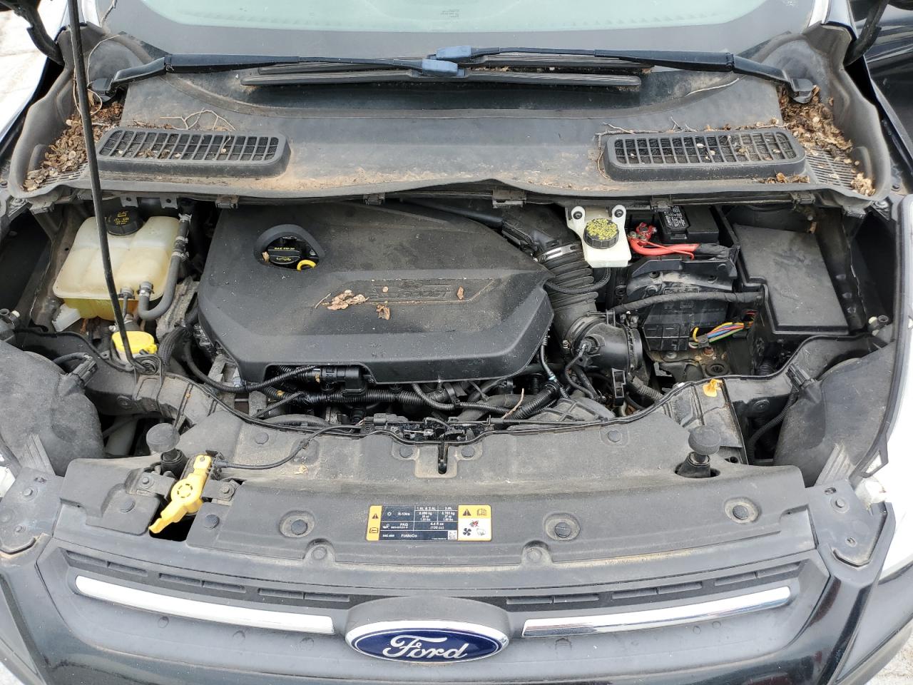 2014 Ford Escape VIN 1FMCU0GX4EUA83268 Copart auction photo, mechanical / front end damage thumbnail 12