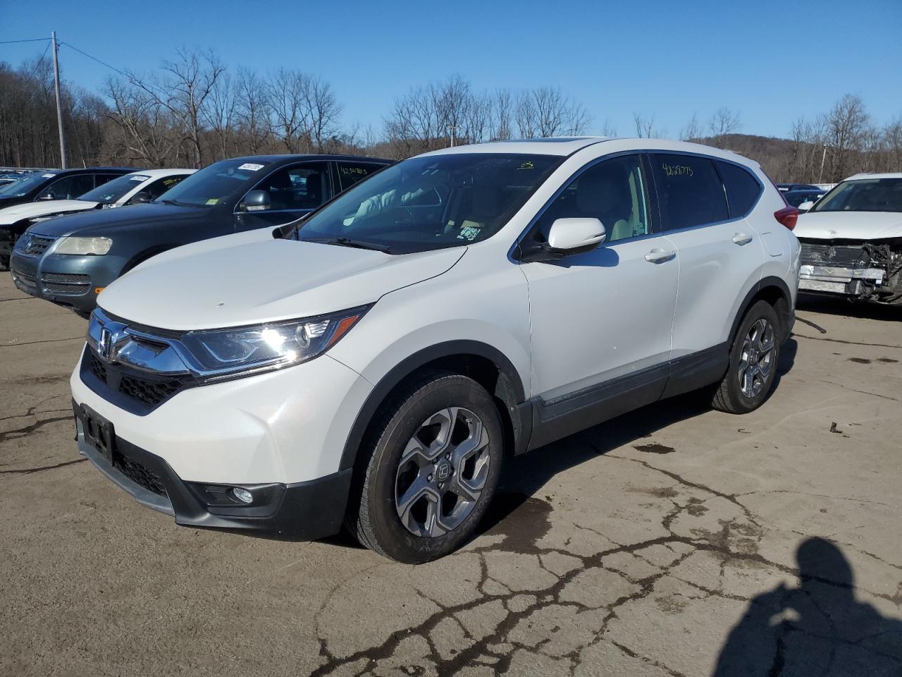 2019 Honda CR-V VIN 2HKRW2H85KH656812
