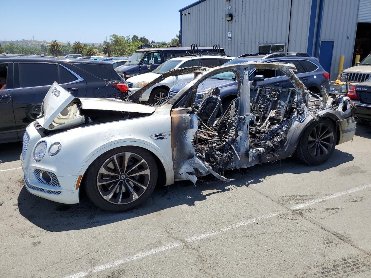 2017 Bentley Bentayga VIN SJAAC2ZV6HC015975 - Copart auction photo