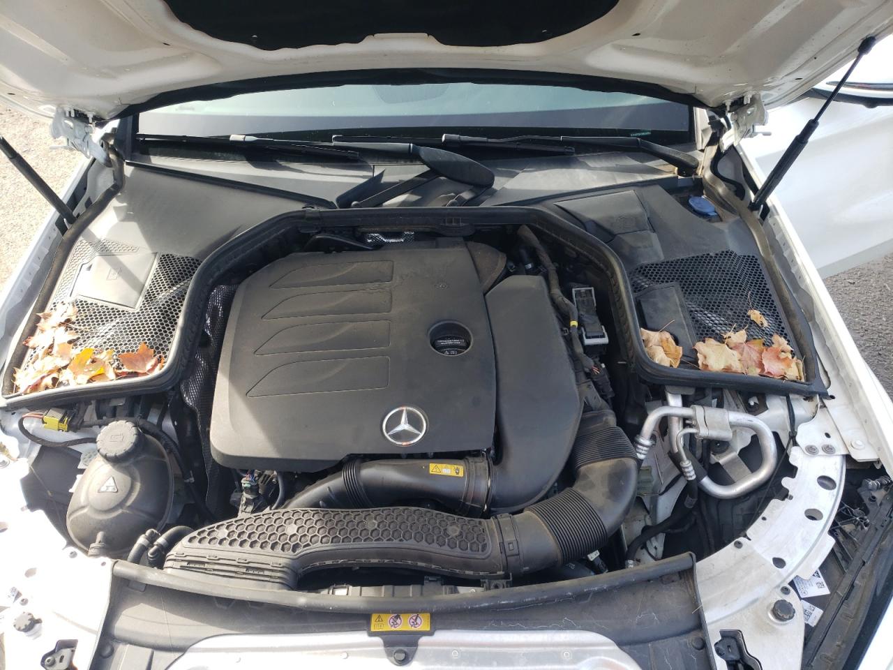 2021 Mercedes-Benz C-klasse VIN W1KWF8DB1MR649509 Copart auction photo, side damage thumbnail 11