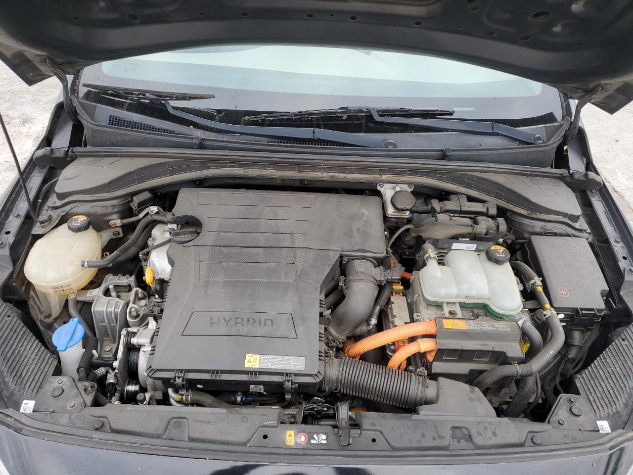 2017 Hyundai IONIQ VIN KMHC65LC2HU024539 Copart auction photo, rear end damage thumbnail 12