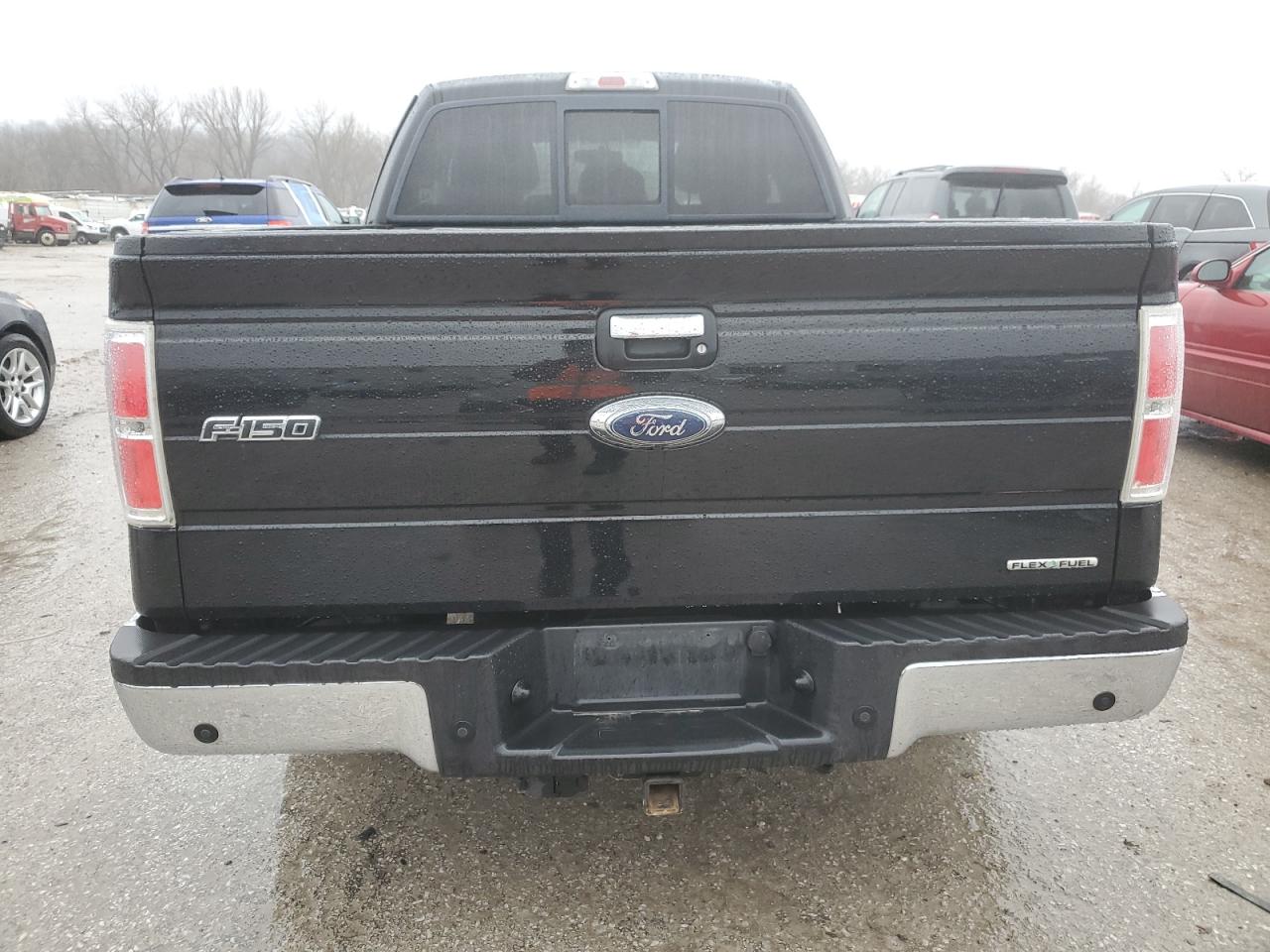 2011 Ford F-150 VIN 1FTFX1CF0BFC13185 Copart auction photo, side damage thumbnail 6