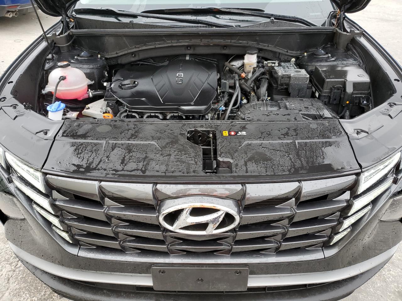 2024 Hyundai Tucson VIN 5NMJBCDE3RH350645 Copart auction photo, side damage thumbnail 12