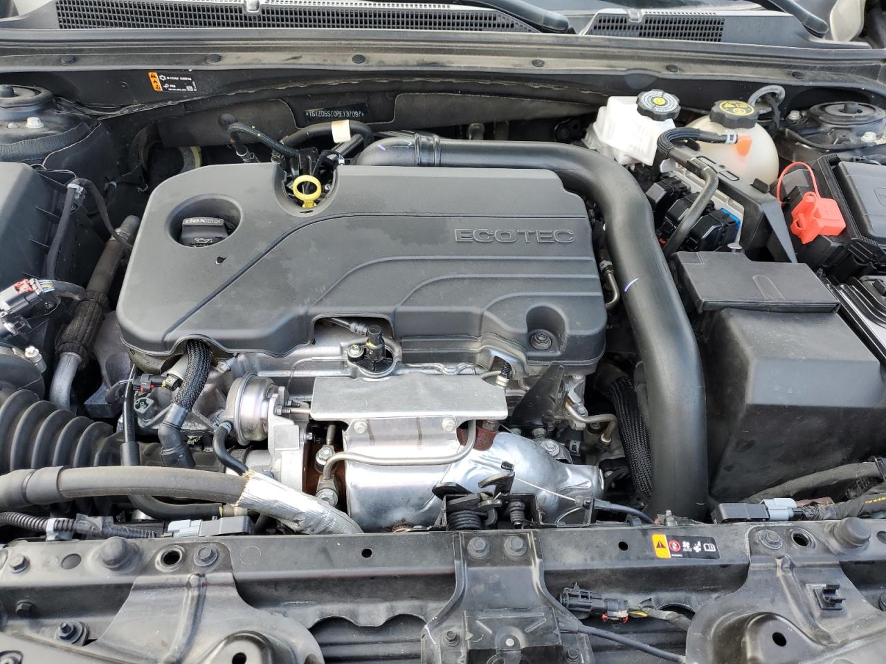 2023 Chevrolet Malibu VIN 1G1ZD5ST0PF137097 Copart auction photo, side damage thumbnail 11
