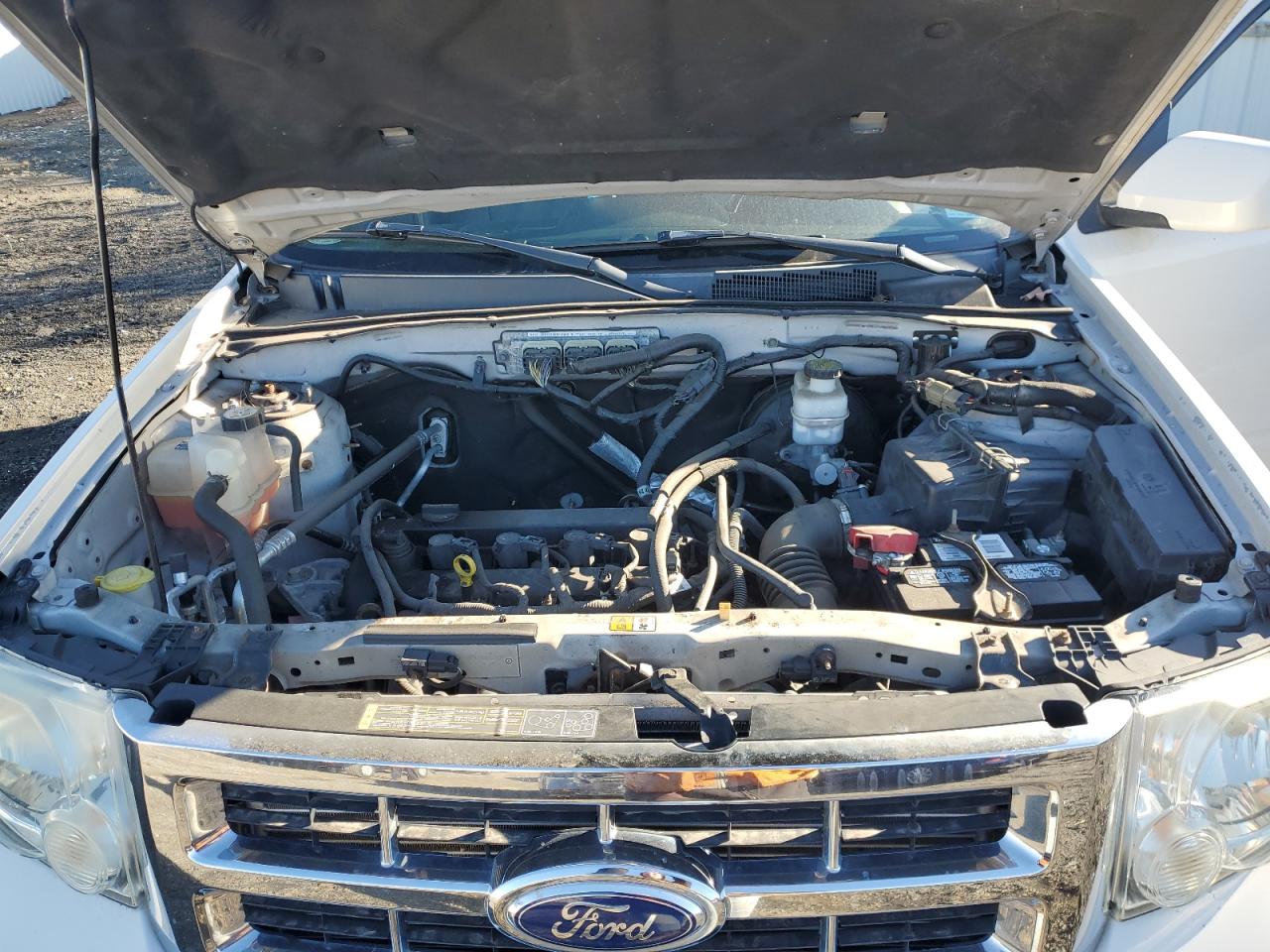 2011 Ford Escape VIN 1FMCU0E78BKC58938 Copart auction photo, side damage thumbnail 12