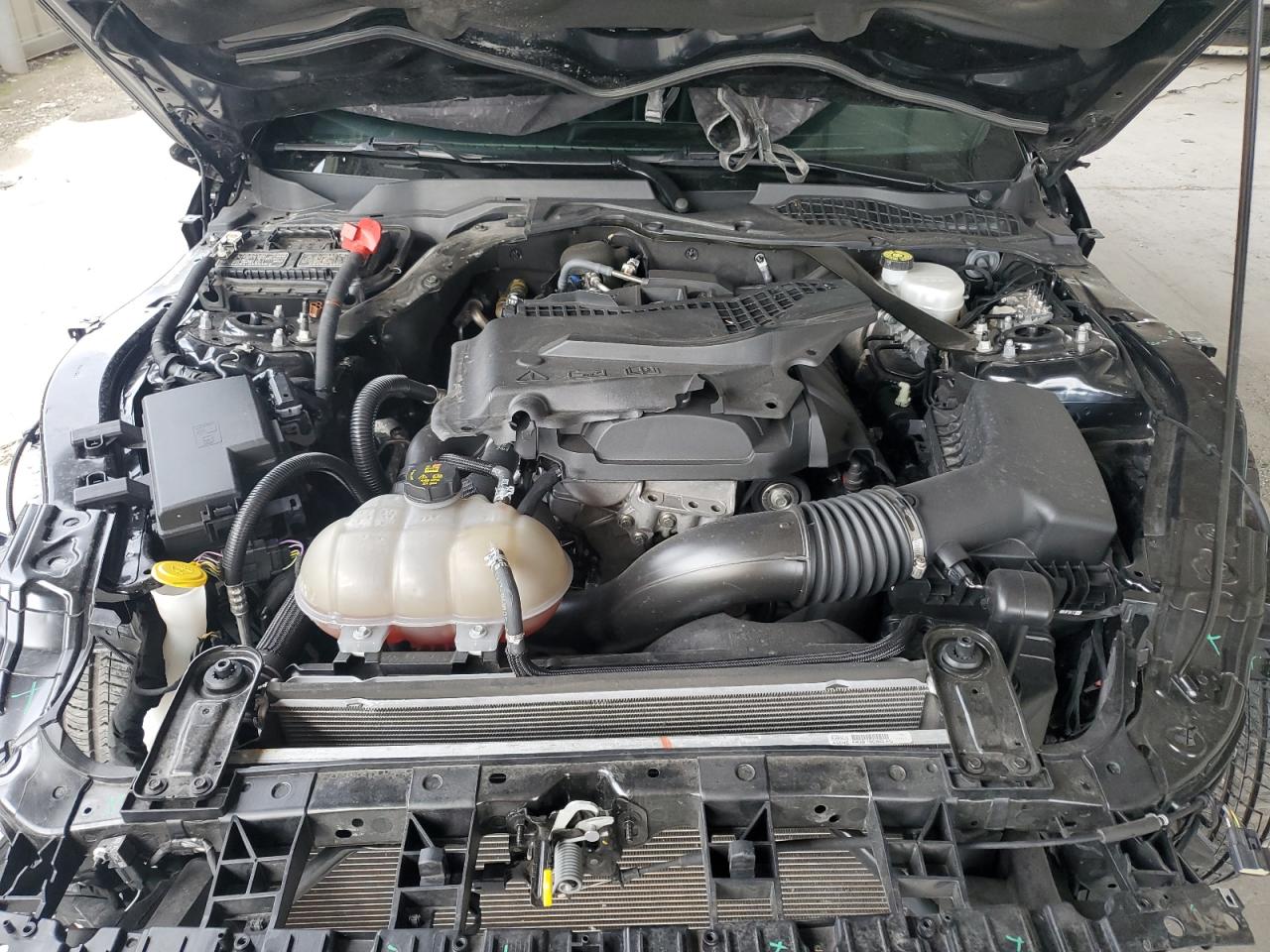 2019 Ford Mustang VIN 1FATP8UH2K5133460 Copart auction photo, front end damage thumbnail 11