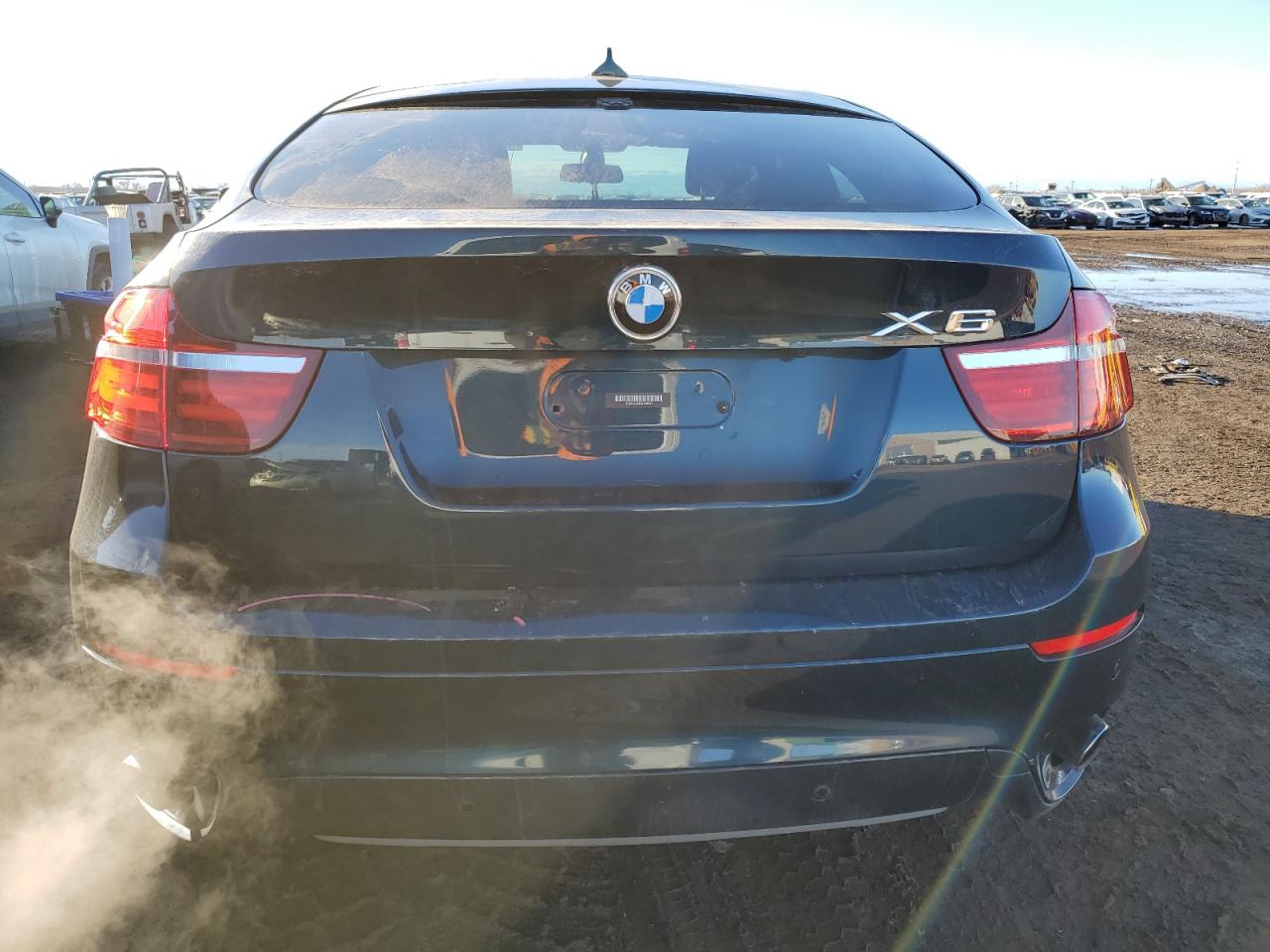 2013 BMW X6 VIN 5UXFG2C5XDL786031 Copart auction photo, front end damage thumbnail 6