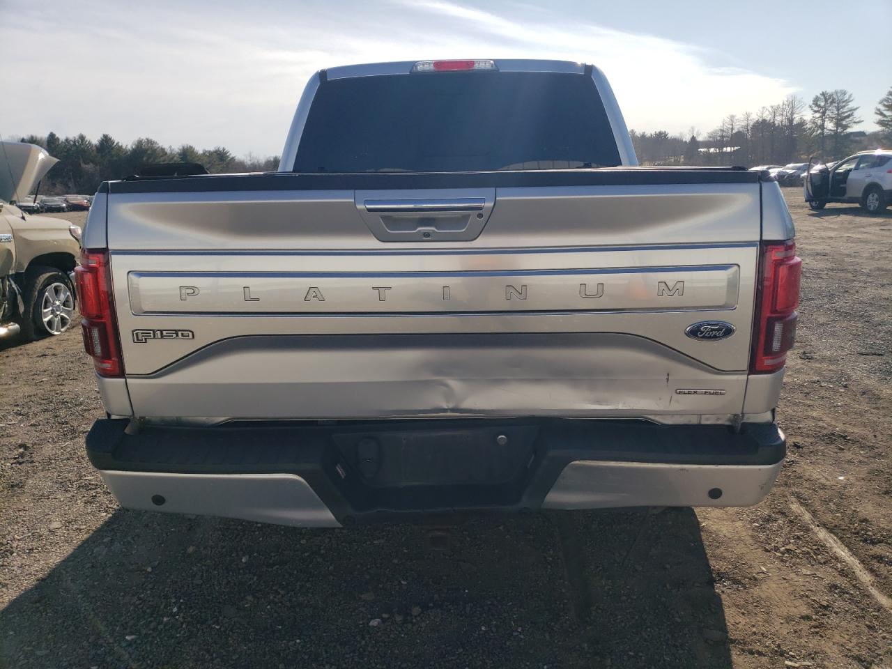 2016 Ford F-150 VIN 1FTEW1EF6GFD13665 Copart auction photo, rear end / minor dent/scratches damage thumbnail 6