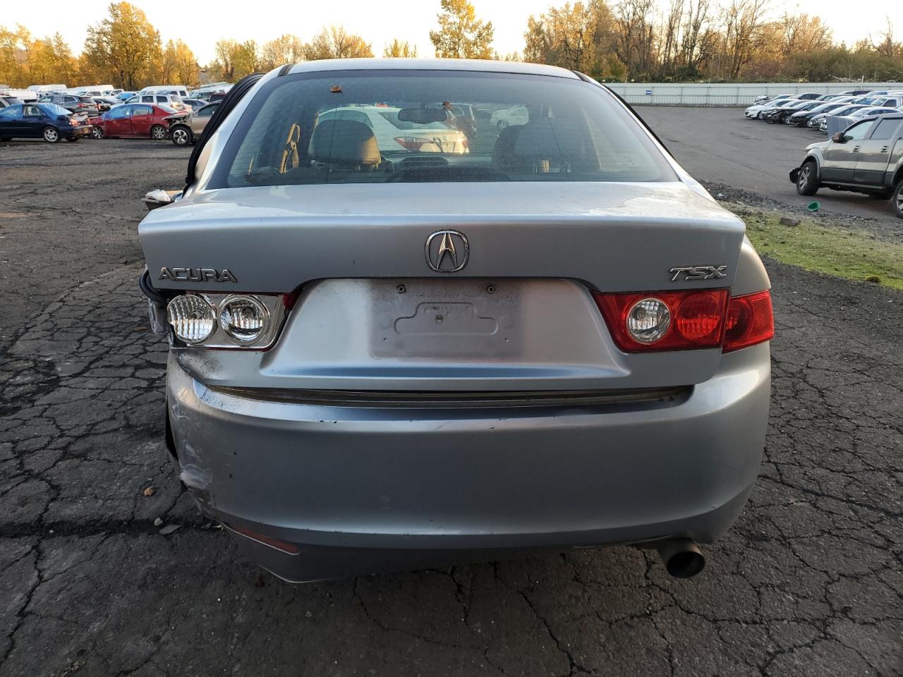 2004 Acura TSX VIN JH4CL96944C005302 Copart auction photo, rear end / side damage thumbnail 6
