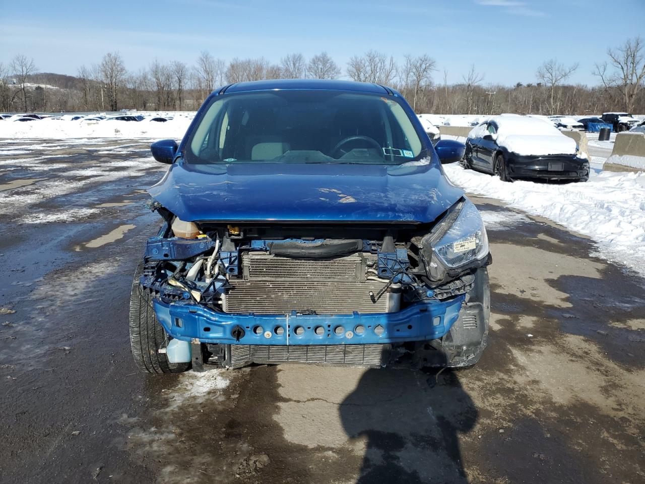 2019 Ford Escape VIN 1FMCU0GD7KUA36785 Copart auction photo, front end / minor dent/scratches damage thumbnail 5