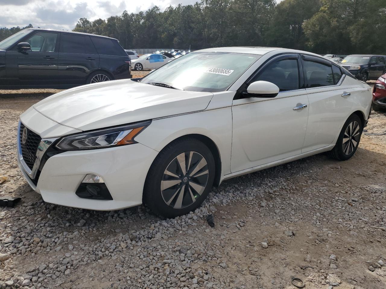2024 Nissan Altima VIN 1N4BL4DV3LN323744